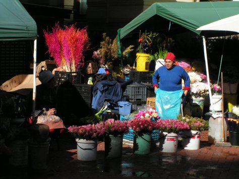 KONICA MINOLTA DIGITAL CAMERA