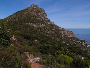 KONICA MINOLTA DIGITAL CAMERA