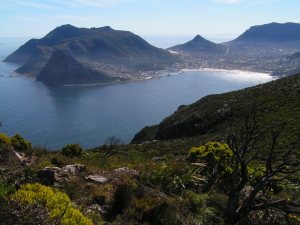 KONICA MINOLTA DIGITAL CAMERA