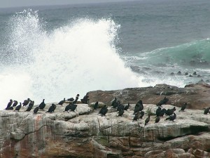 KONICA MINOLTA DIGITAL CAMERA