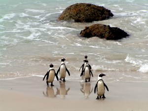 KONICA MINOLTA DIGITAL CAMERA