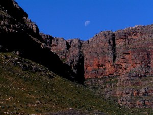 KONICA MINOLTA DIGITAL CAMERA