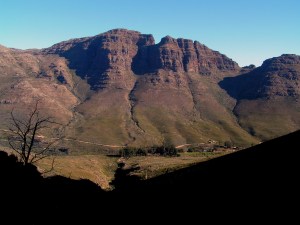 KONICA MINOLTA DIGITAL CAMERA