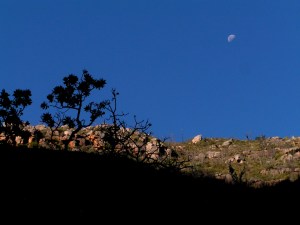 KONICA MINOLTA DIGITAL CAMERA