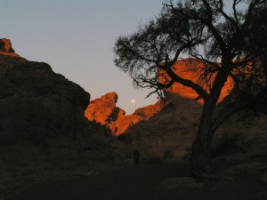 KONICA MINOLTA DIGITAL CAMERA