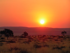 KONICA MINOLTA DIGITAL CAMERA