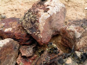 KONICA MINOLTA DIGITAL CAMERA