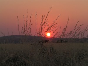 KONICA MINOLTA DIGITAL CAMERA