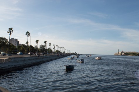havana (32)