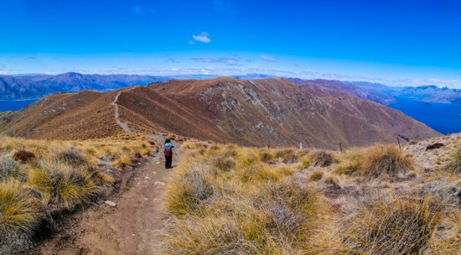 Hiking Isthmus Peak Track
