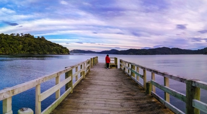 Hiking Rakiura Track
