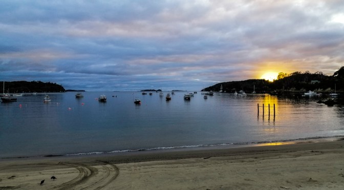 Things to do in Stewart Island