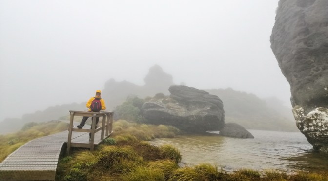 hiking Humpridge Track